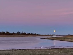 2022-09-09 Jogo Airsoft ANA - SALAMANDRA 1